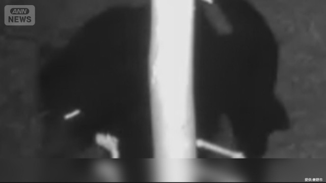 テレビ朝日系（ANN）