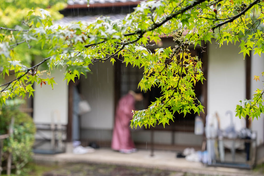 「京たなべお茶まつり」　大茶会の画像