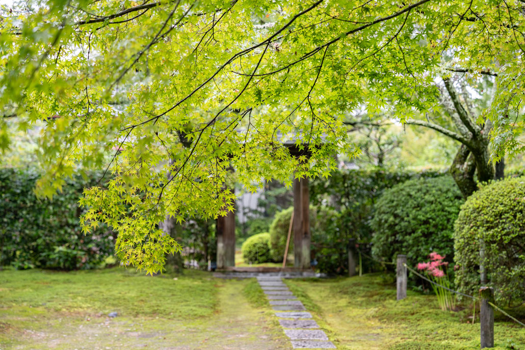 「京たなべお茶まつり」　大茶会の画像