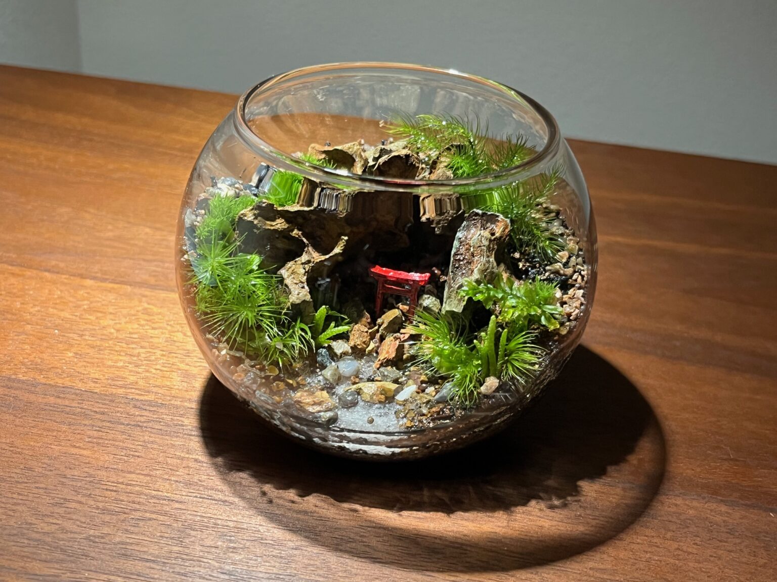 【ワークショップ】2026年晩秋に楽しむ苔テラリウムワークショップ | イベント | 奈良 蔦屋書店 【ワークショップ】2026年晩秋に楽しむ苔テラリウムワークショップ | イベント | 奈良 蔦屋書店