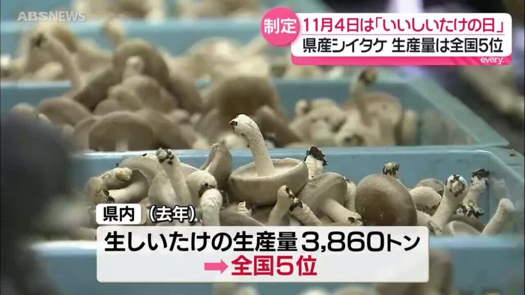 11月4日を「いいしいたけの日」に制定!県産シイタケの魅力を全国に発信 さらなる消費拡大へ 秋田(2026年10月29日掲載)|ABS NEWS NNN 共有
