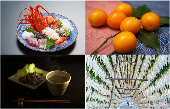 宮崎の秋冬を味わい尽くす「ひなたの恵み」グルメ | 鹿児島・九州プレスリリース | 生活情報 | くらし 宮崎の秋冬を味わい尽くす「ひなたの恵み」グルメ | 鹿児島・九州プレスリリース | 生活情報 | くらし