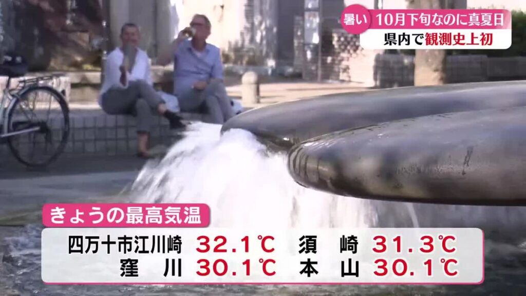 共有