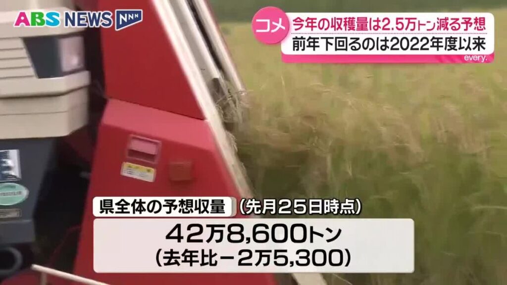 県内の主食用米の予想収量は42万8,600トン 去年より2万5,000トン余り↓ 前年を下回るのは2022年度以来 秋田(2026年10月13日掲載)|ABS NEWS NNN 共有