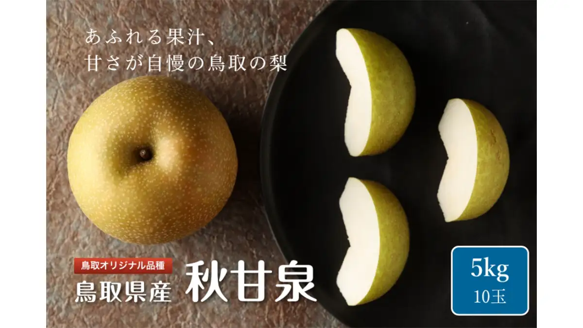 秋甘泉(あきかんせん)梨 5kg(10玉)【冷蔵貯蔵品】