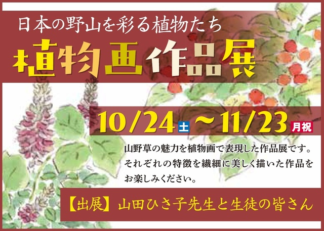 植物画作品展 −日本の野山を彩る植物たち−