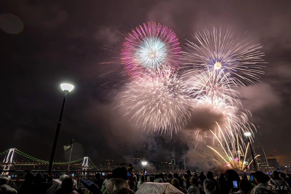 【東京湾大華火祭2026会場レポート】11年前には存在しなかった豊洲ぐるり公園で見てきました | とよすと - 毎日更新！豊洲エリアの今がわかる地域情報サイト